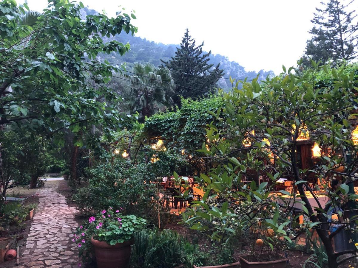 Kibala Hotel Çıralı Kültér fotó