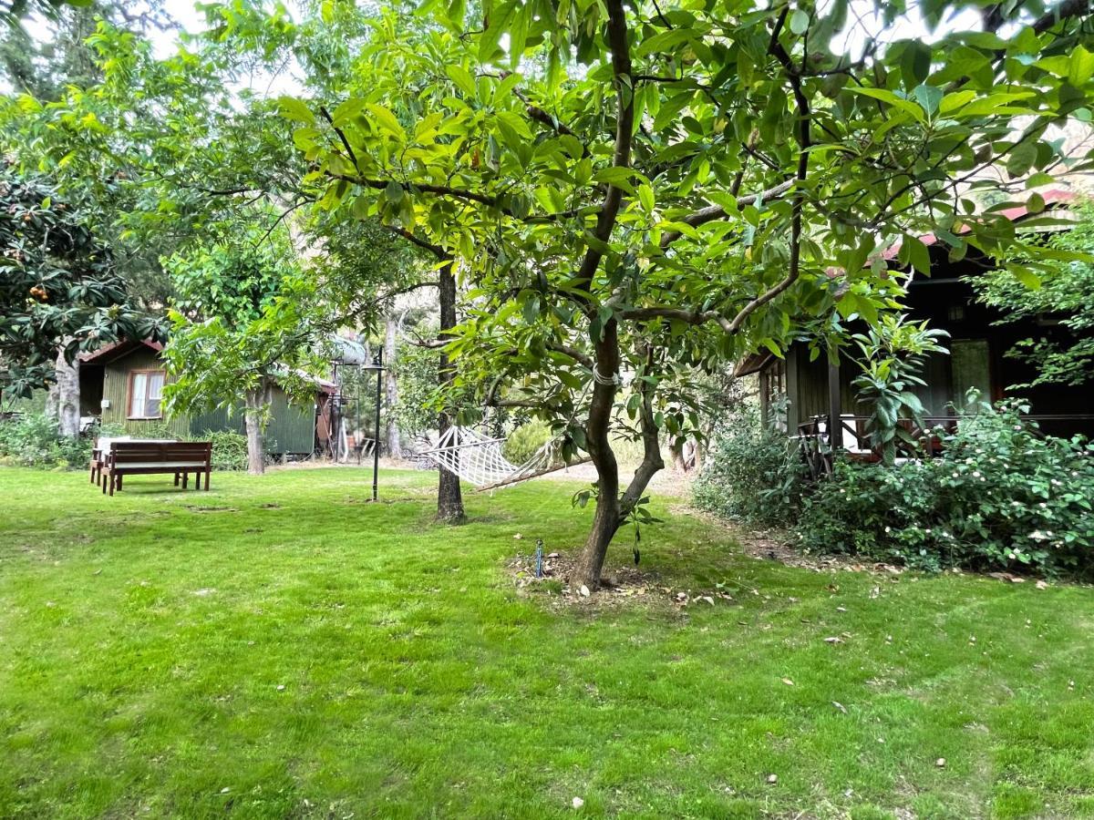 Kibala Hotel Çıralı Kültér fotó