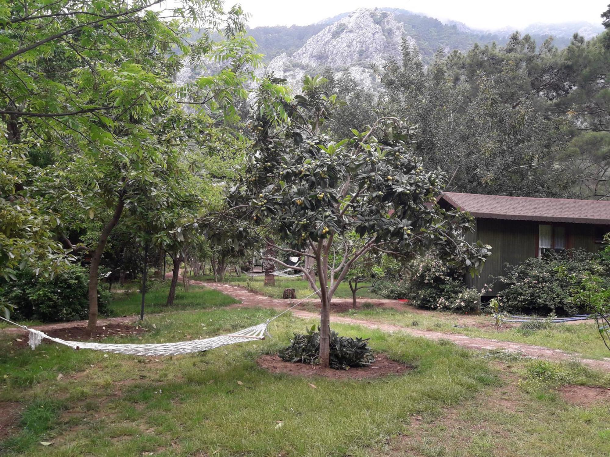 Kibala Hotel Çıralı Kültér fotó